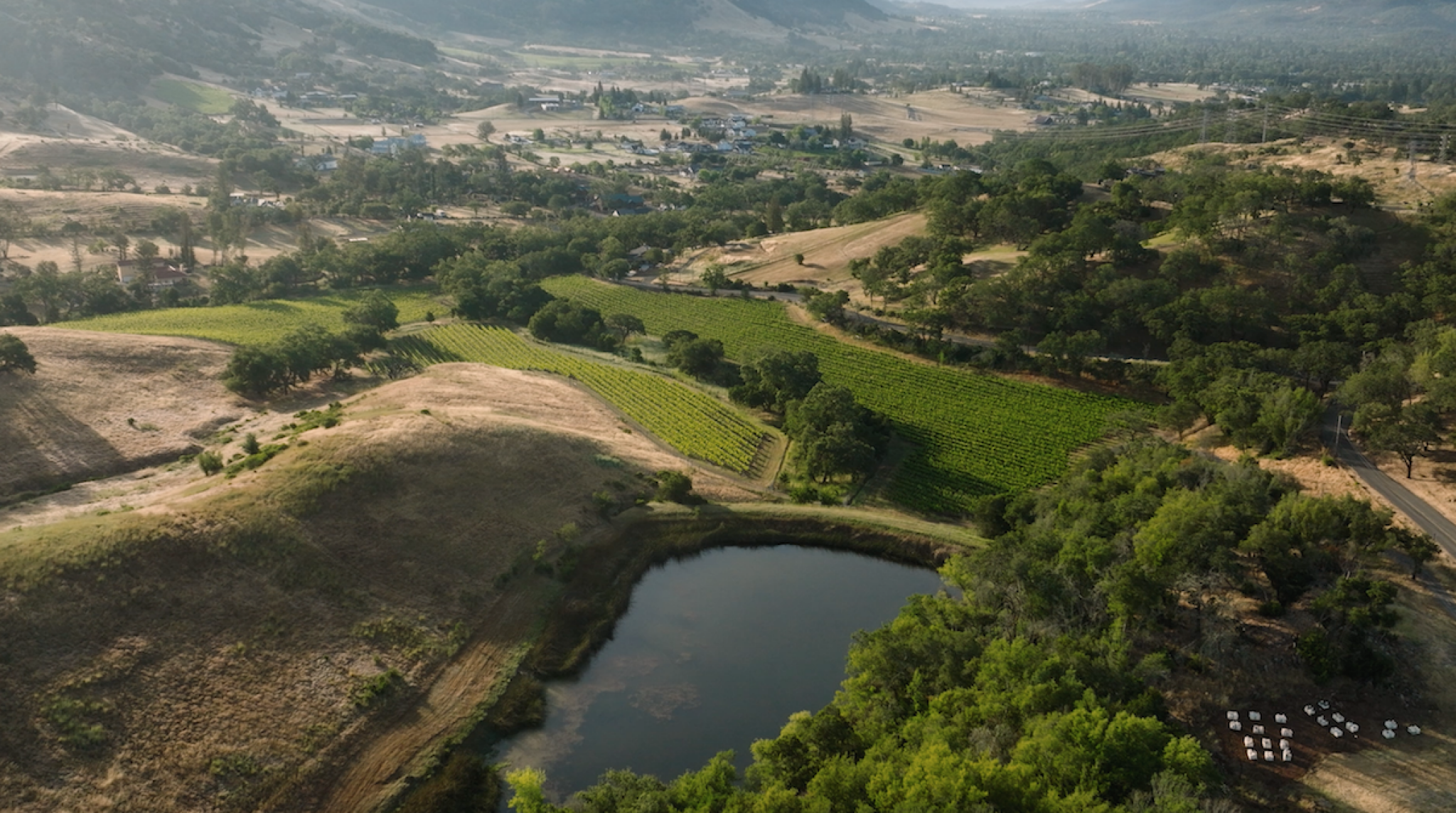 Chambers Vineyard